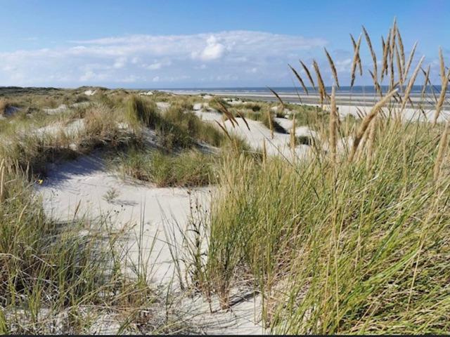Seeblick Lachmoewe, Exklusive Lage In Strandnaehe Wangerooge Bagian luar foto